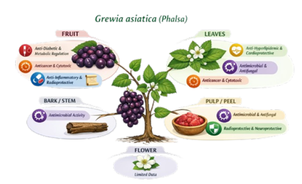 Click here to view Large images 1