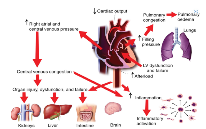 Click here to view Large images 1