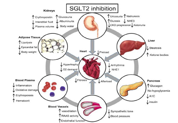 Click here to view Large images 3