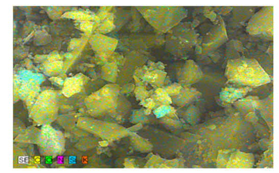 Click here to view Large image 3