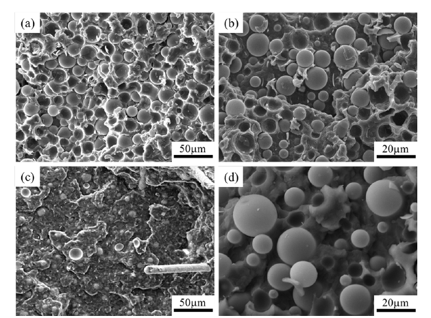 Click here to view Large image 11