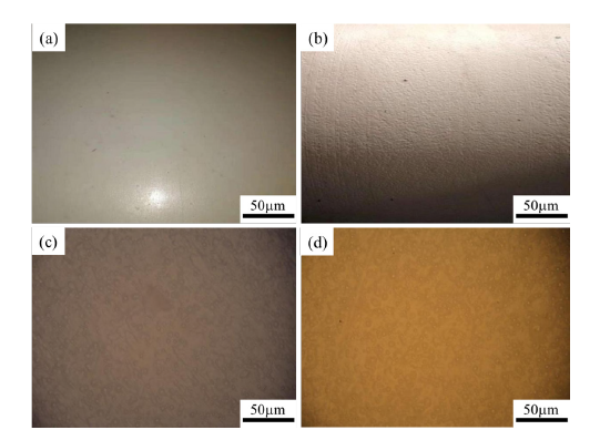 Click here to view Large image 12