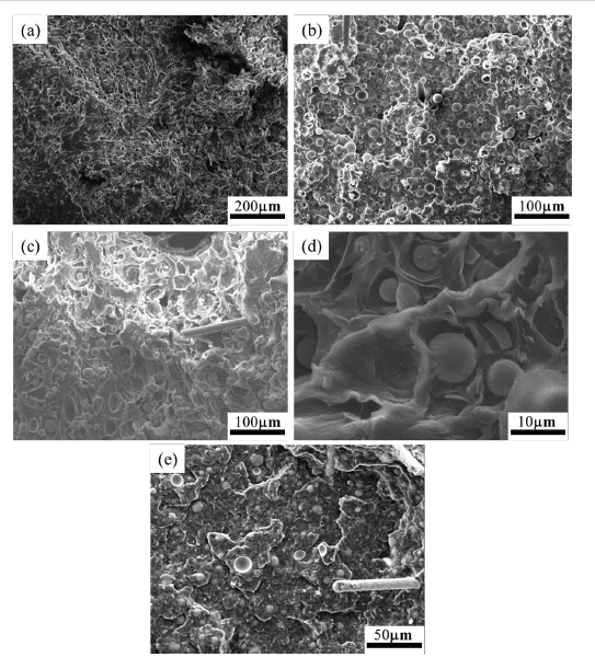 Click here to view Large image 9