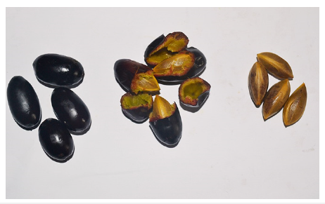 Click here to view Large images 2