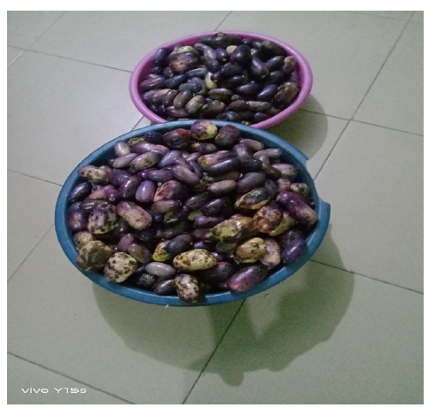 Click here to view Large images 3