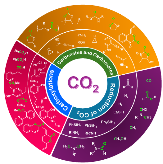 Click here to view Large images 2