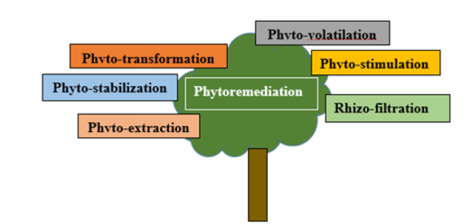 Click here to view Large image 5