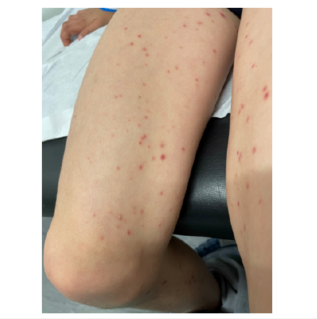 Click here to view Large image 2