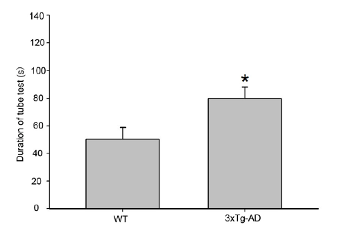 Click here to view Large images 2